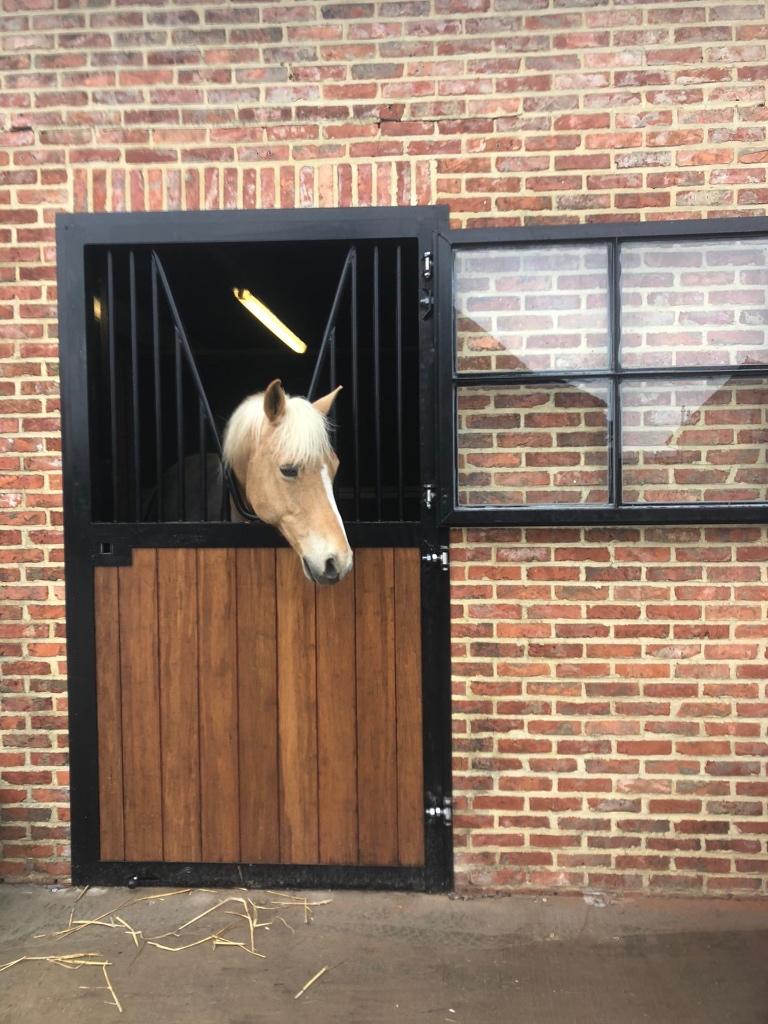 paarden staldeur, staldeur, staldeur voor paarden,, Stalling, 4 paarden of pony's of meer