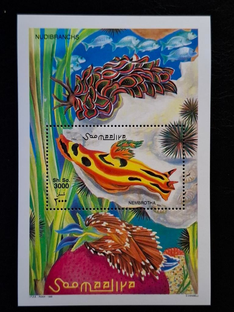 Somalië 1999 Slakken, Ophalen of Verzenden, Overige landen, Postfris