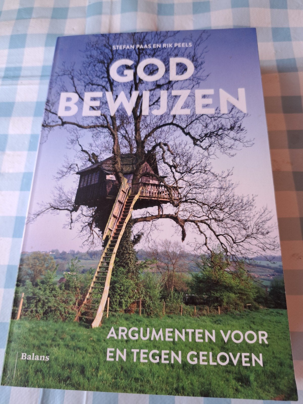 J:God Bewijzen: Argumenten voor en tegen geloven, Boeken, Esoterie en Spiritualiteit, Achtergrond en Informatie, Stefan Paas en Rik Peels