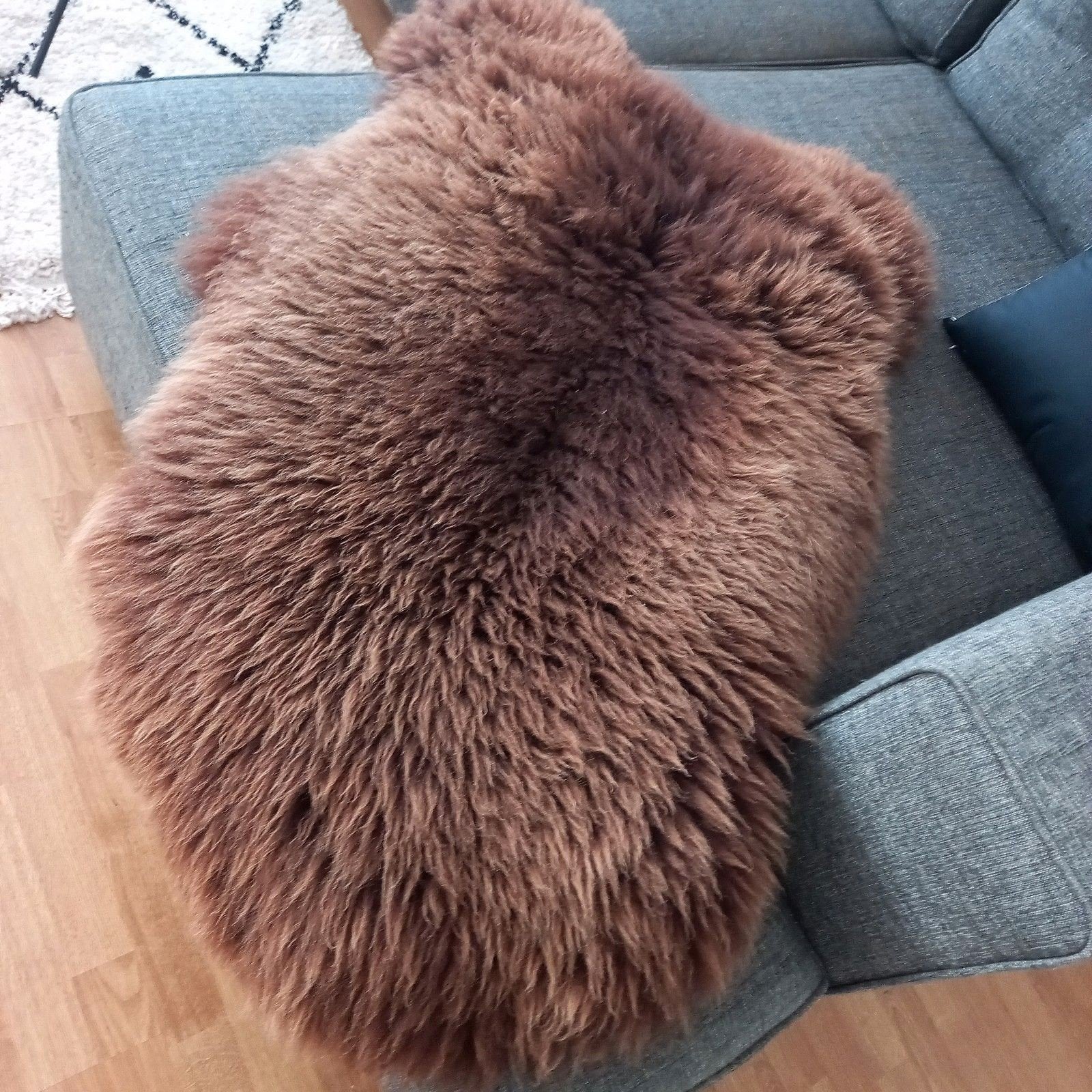 Sheepscoat Brown curly XXL, Ophalen, Nieuw