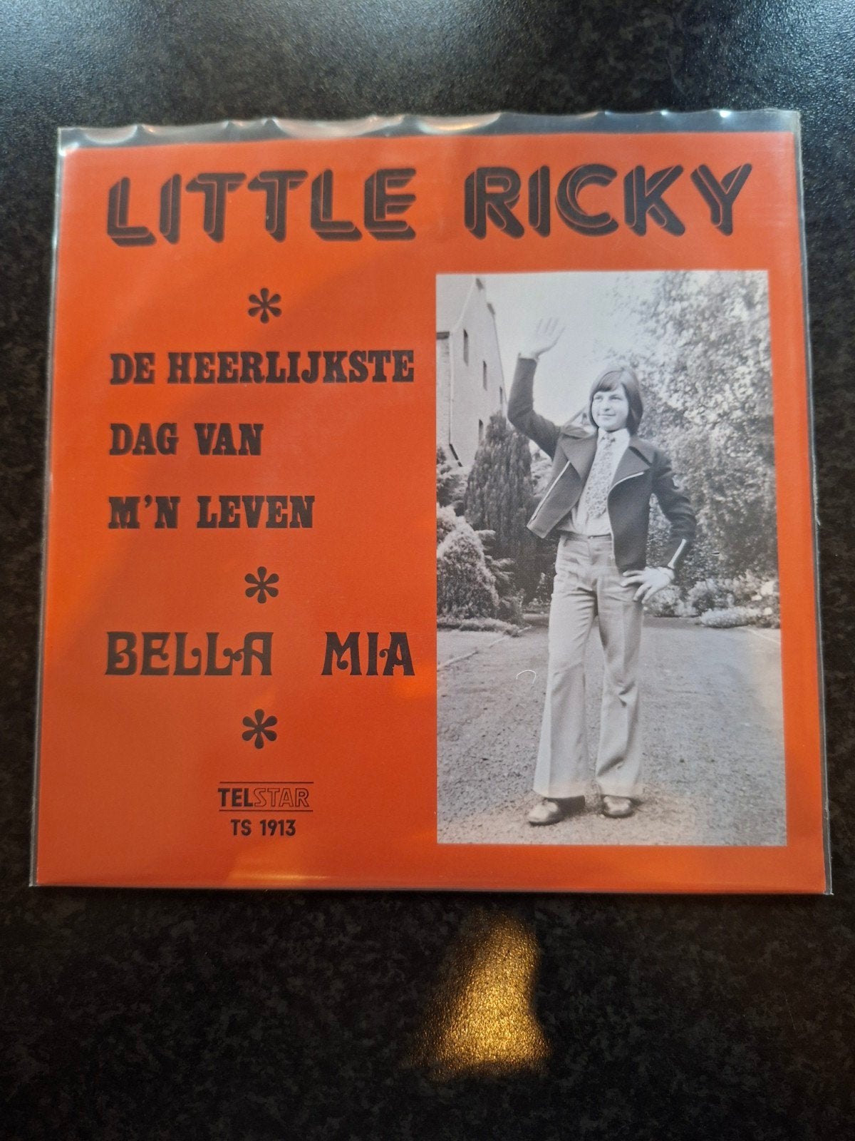Little ricky de heerlijkste dag van mijn leven
Herpers vaste, Ophalen of Verzenden, Zo goed als nieuw, Overige formaten, Levenslied of Smartlap