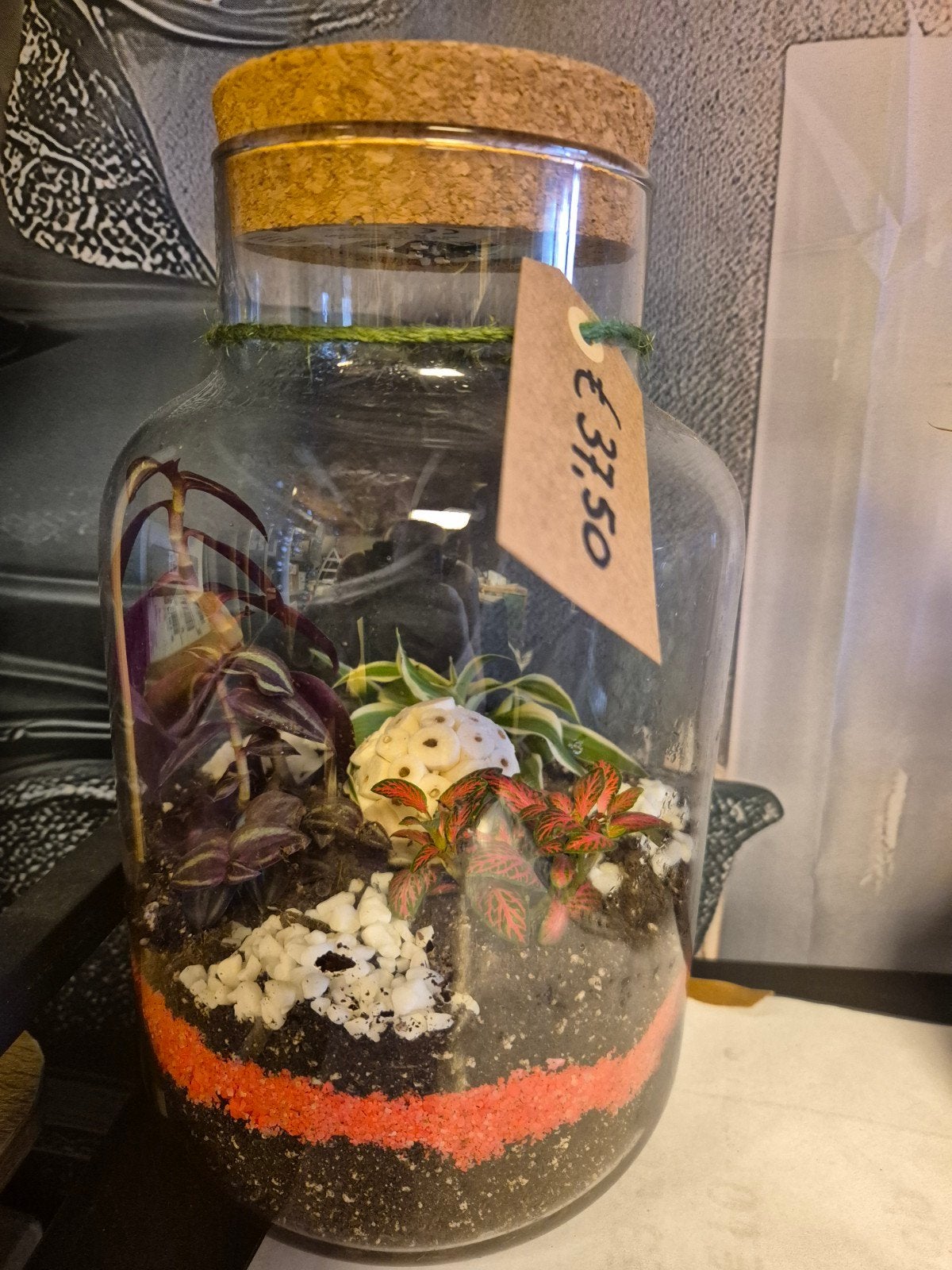 Terrarium met diverse planten en decoratie (met lichtje), Huis en Inrichting, Kamerplanten, Ophalen, Overige soorten, Halfschaduw