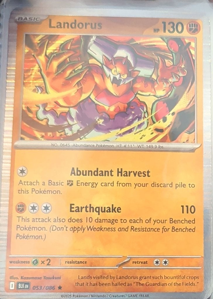 Landorus Pokémon Kaart - Basic - 053/086, Hobby en Vrije tijd, Verzamelkaartspellen | Pokémon, Ophalen of Verzenden, Zo goed als nieuw