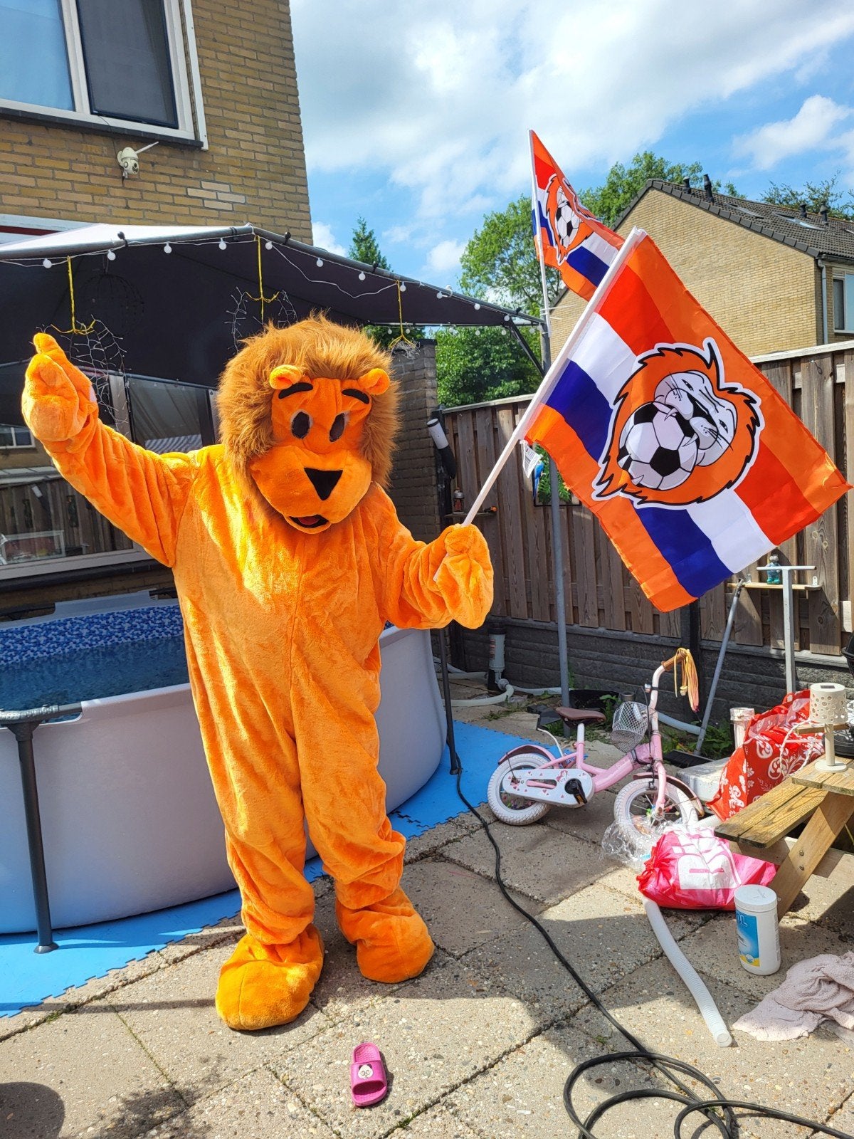 Oranje leeuwenpak, Ophalen of Verzenden, Jongen of Meisje