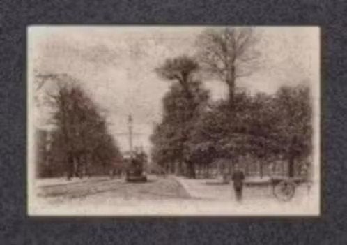 Southampton Engeland The Avenue Tram Reclame Amsterdam, Ophalen of Verzenden, Voor 1920, Ongelopen, Engeland