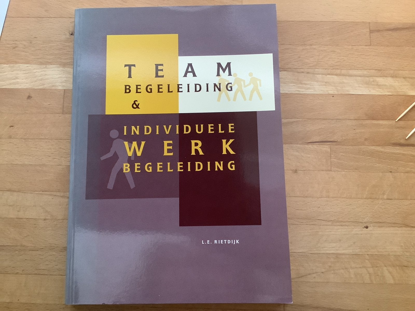 Team- en Individuele Werkbegeleiding - L.E. Rietdijk, Ophalen of Verzenden, Gamma, Gelezen, HBO