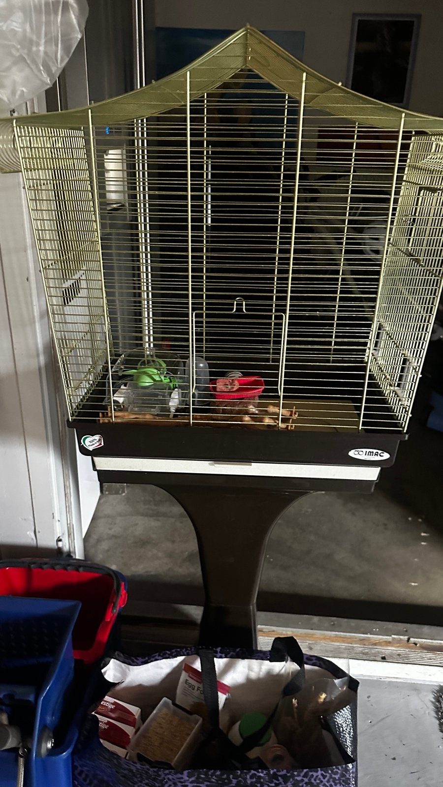 Kanarie kooi op standaard met veel toebehoren, Dieren en Toebehoren, Ophalen, Zo goed als nieuw, Metaal, Vogelkooi