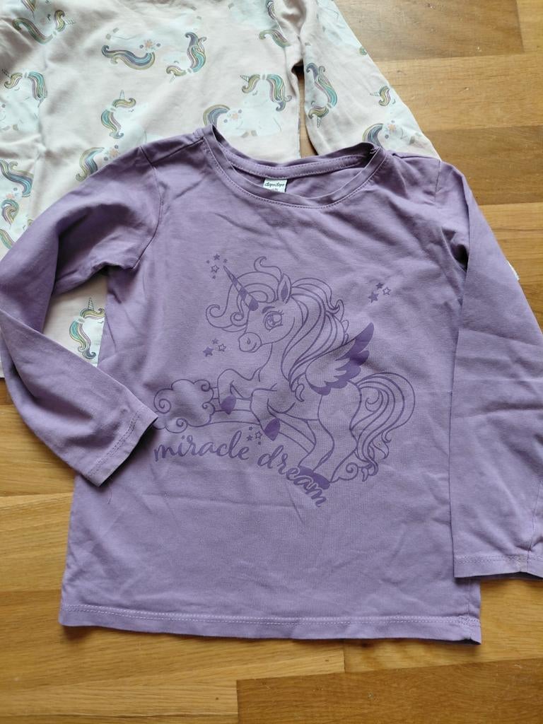 Tshirtsetje mt 104, Ophalen of Verzenden, Zo goed als nieuw, Meisje, Shirt of Longsleeve