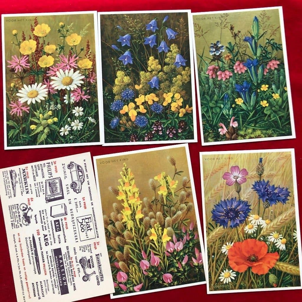 set van 5 Voor het kind, Jan Voerman, bloemenserie, Ophalen of Verzenden, 1960 tot 1980, Ongelopen, Natuur