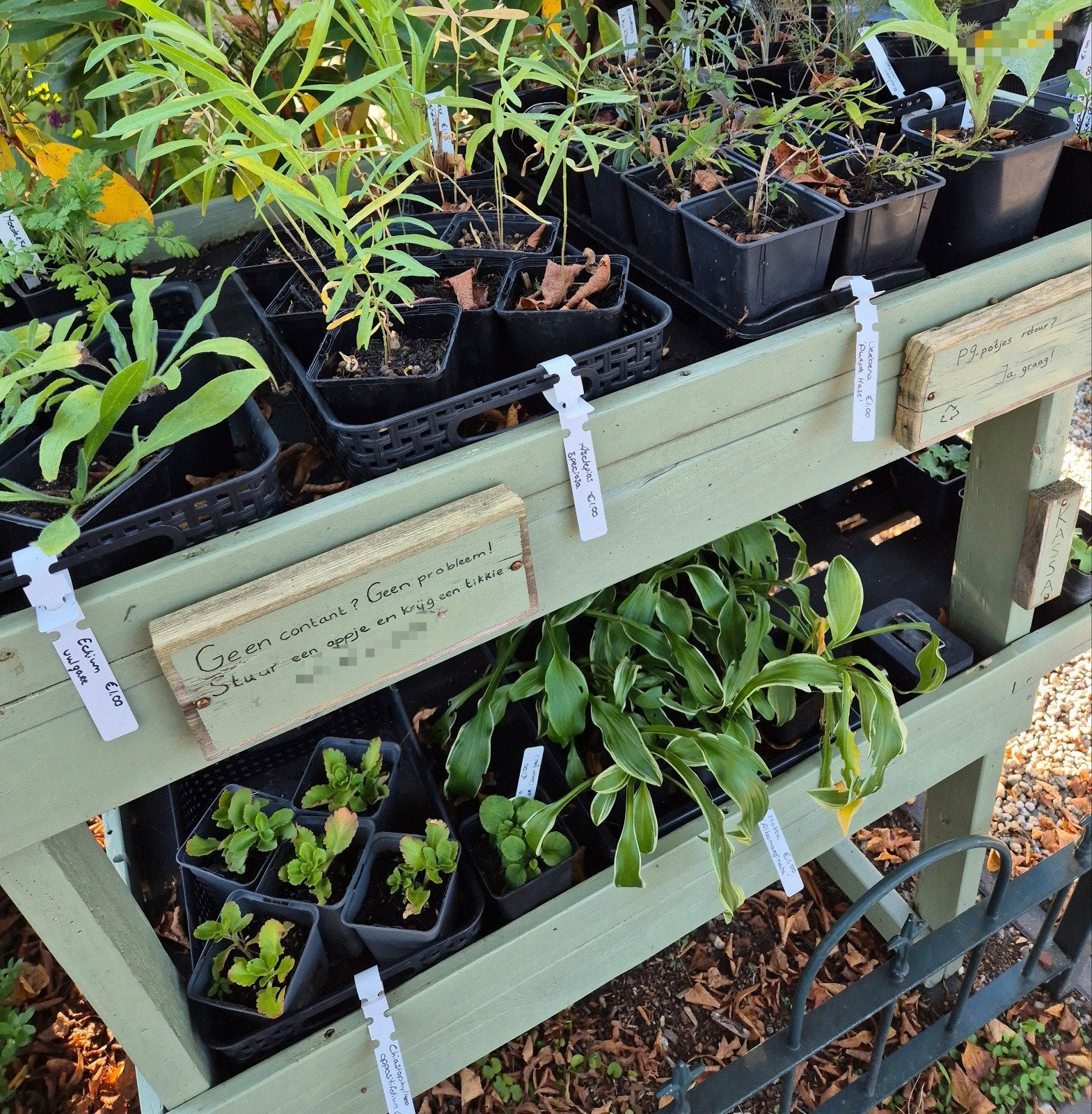 Plantenkraam | Laatste Planten van het Seizoen, Ophalen