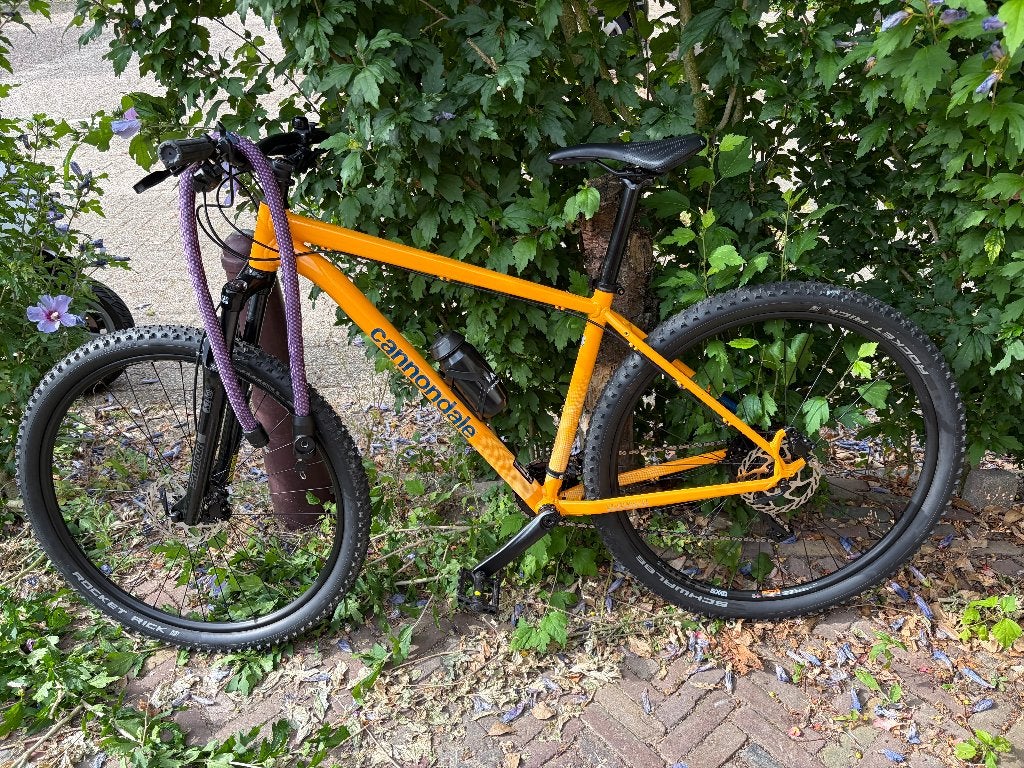 Cannondale MTB, 57 cm of meer, Hardtail, Heren, Nieuw