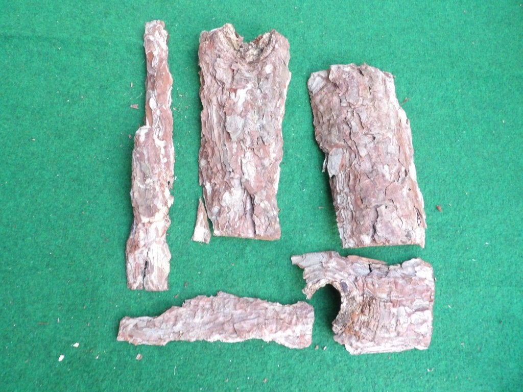 NIEUW 5 mooie grote droge stukken HOUTSCHORS ( 11 ), Ophalen of Verzenden, Nieuw