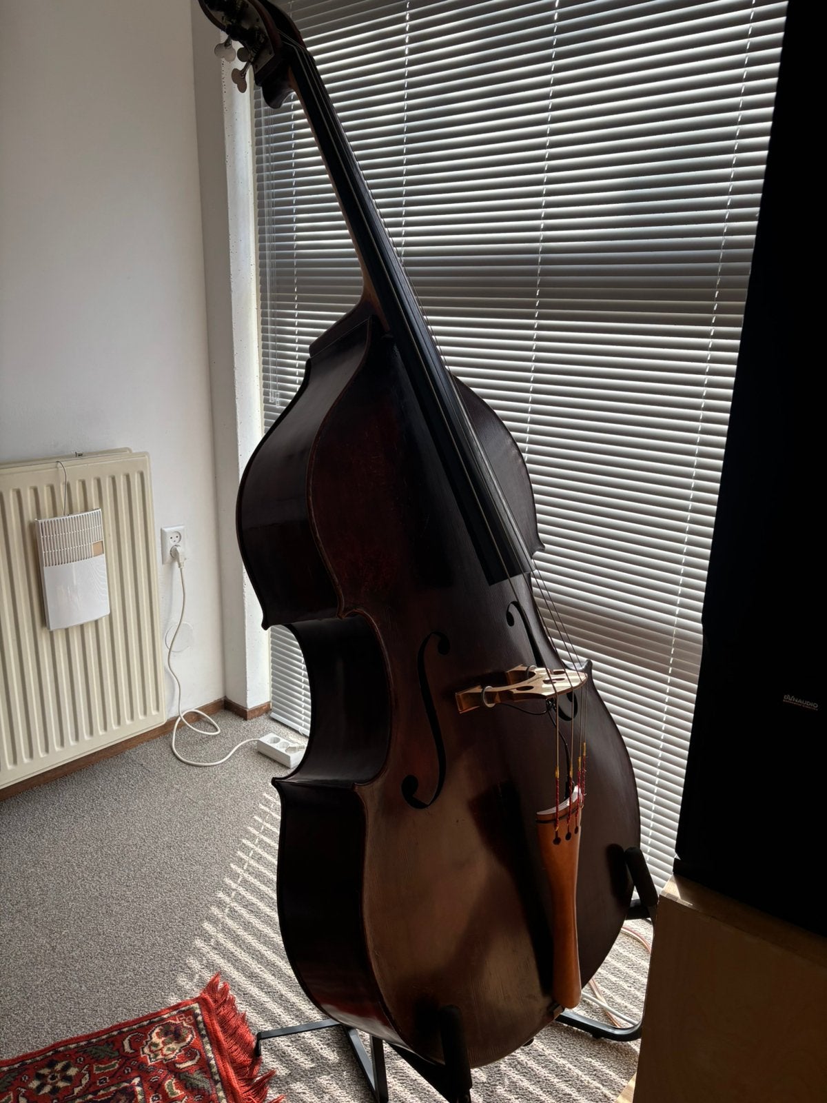 Contrabassist ( semi/prof) zoekt musici, Contacten en Berichten, Muziek maken en Bandleden