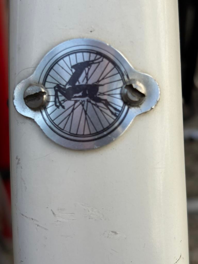 Luxe Gazelle fiets uit 1963!, 55 tot 59 cm, Ophalen, Gazelle, Jaren '60 of nieuwer