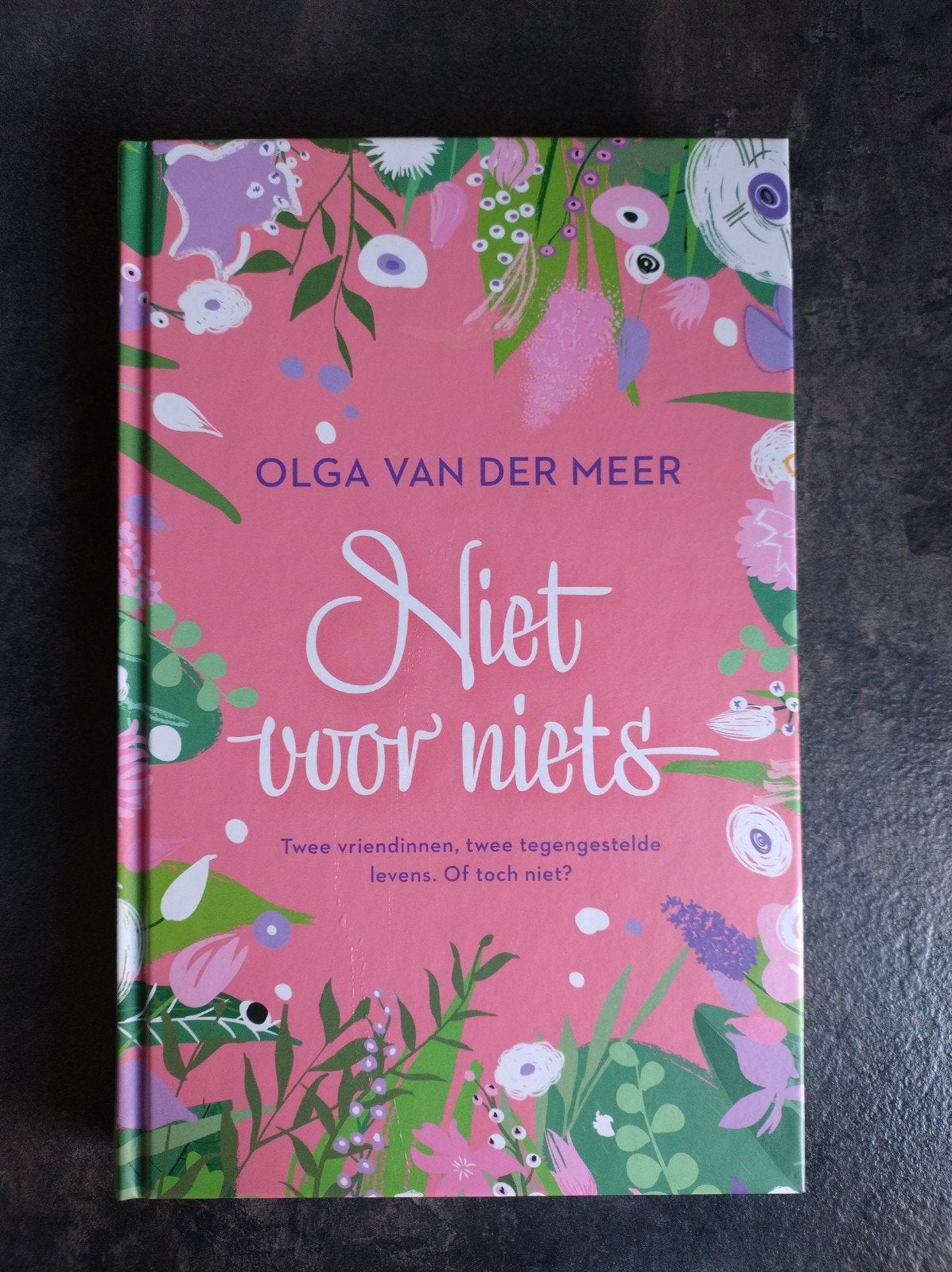 Olga van der Meer - Niet voor niets, Ophalen of Verzenden, Zo goed als nieuw, Nederland, Olga van der Meer