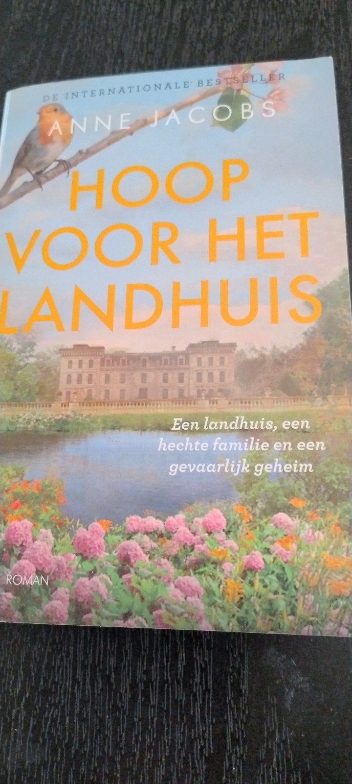 Hoop voor het Landhuis - Anne Jacobs (Roman), Boeken, Ophalen of Verzenden, Gelezen, Anne Jacobs, Europa overig
