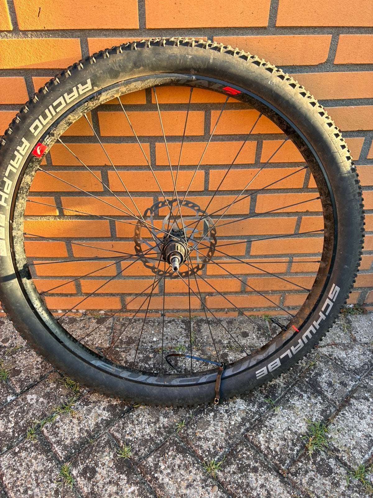 Fulcrum e-metal 5, MTB 29" achterwiel., Ophalen, Gebruikt, Overige merken