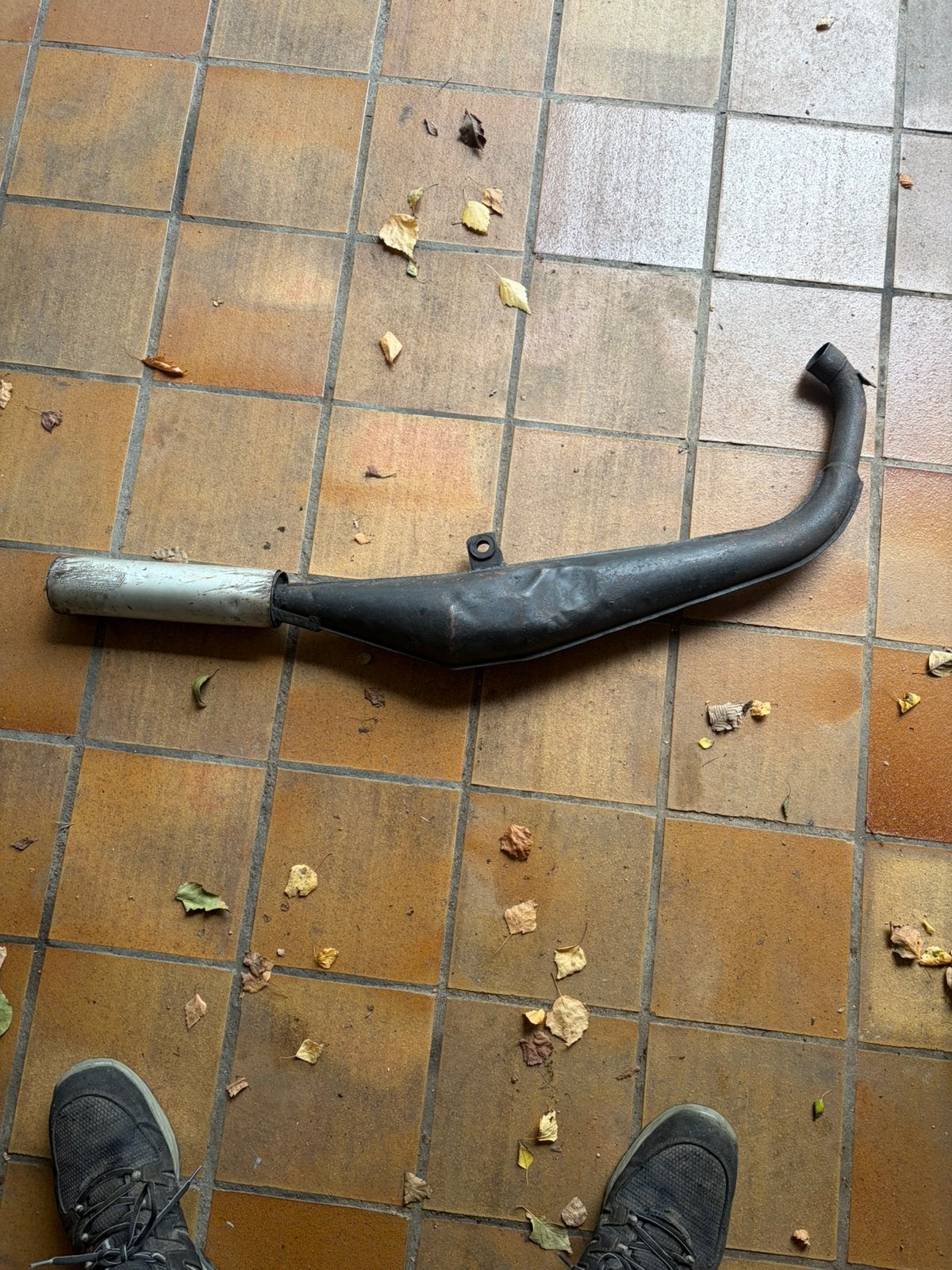 Originele proma honda mb, Motoren, Ophalen of Verzenden, Gebruikt