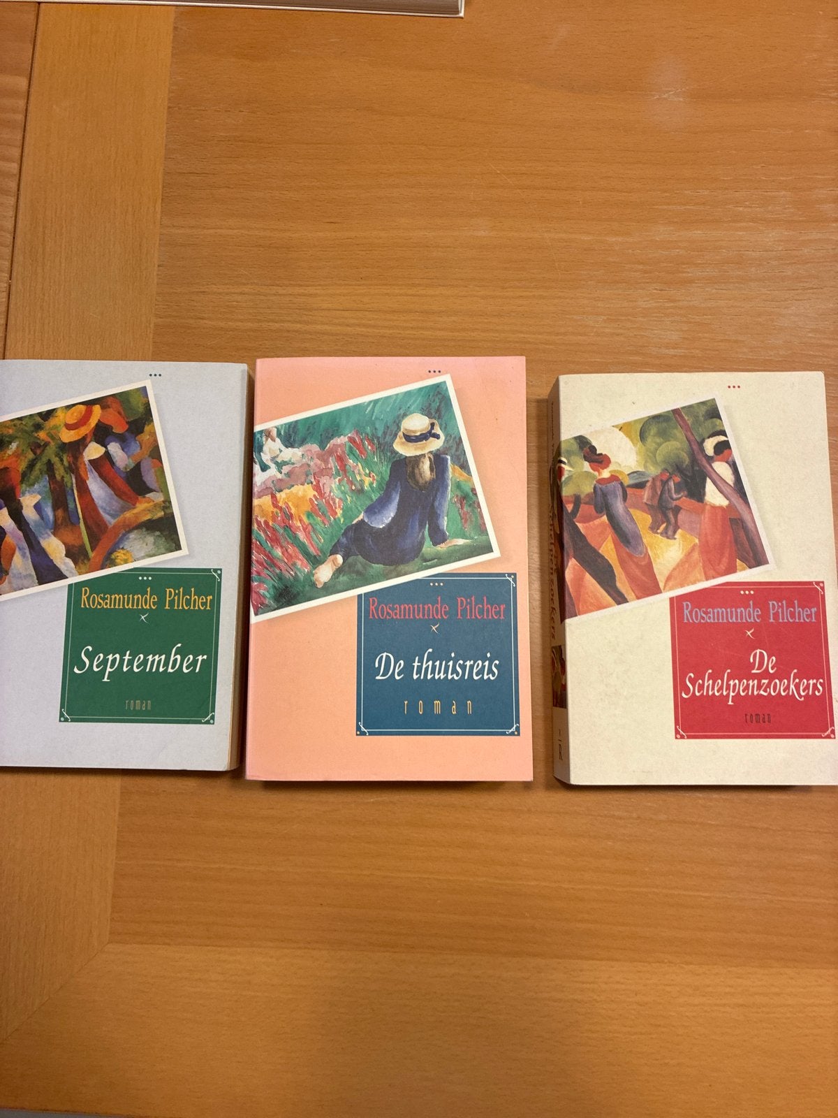 Rosamunde Pilcher boeken: September, De thuisreis, De Schelp, Ophalen of Verzenden, Gelezen