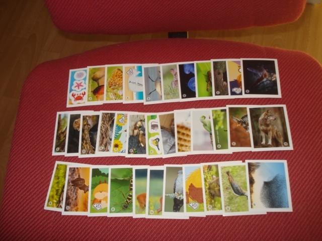 DIEREN DICHTBIJ COMPLETE SET PLAATJES/STICKERS ( NIEUW), Coop, Ophalen of Verzenden
