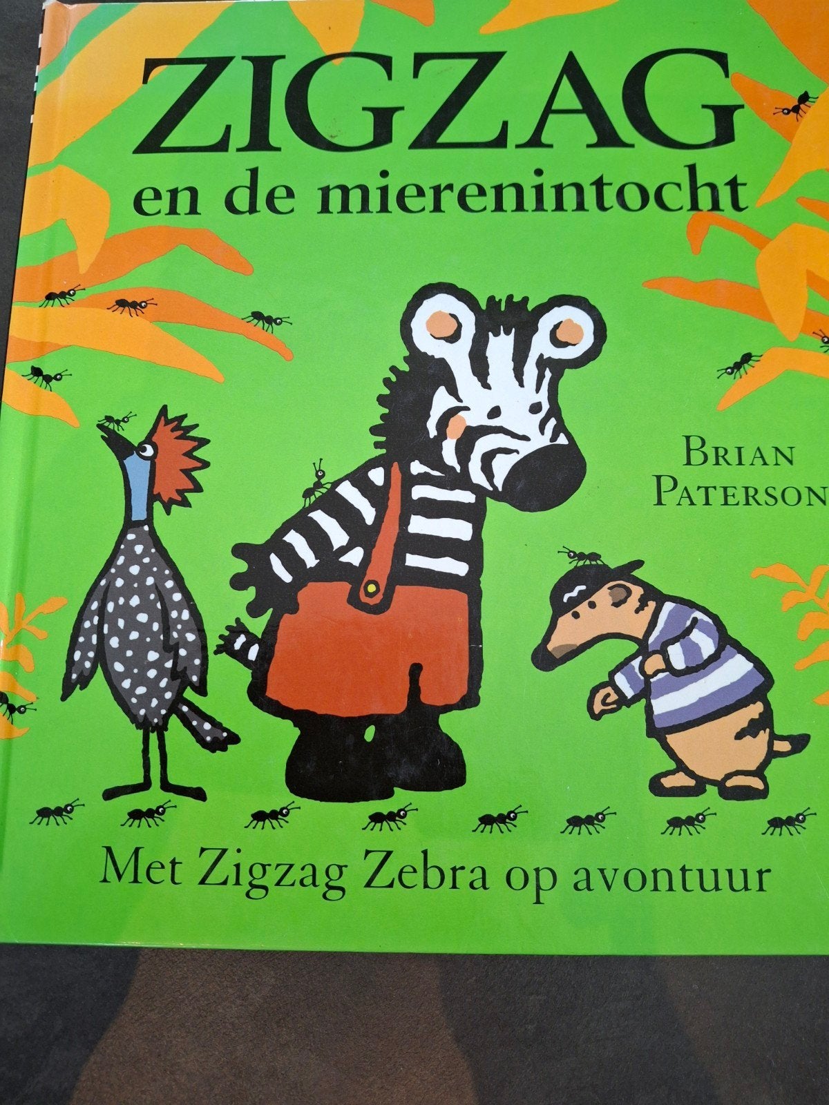 Zigzag en de miereninto, Ophalen, Fictie algemeen, Brian Paterson, Jongen of Meisje