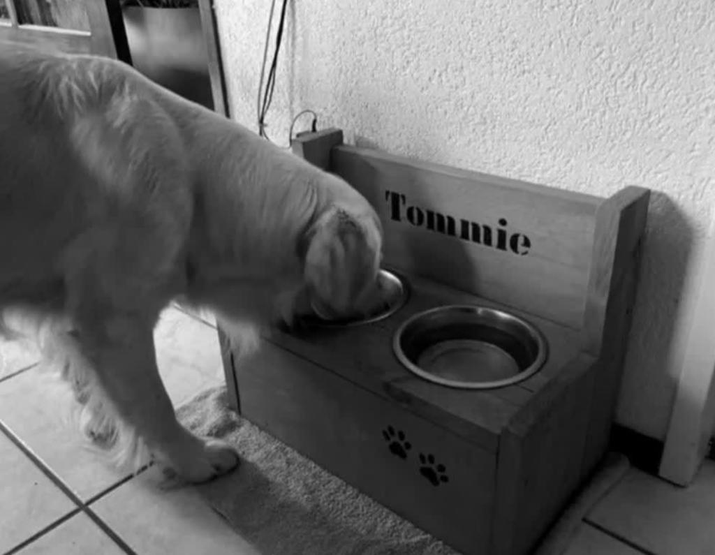 Eet-drinkbak voor hond of kat - GRATIS naam dier!, Dieren en Toebehoren, Honden-accessoires, Ophalen of Verzenden, Nieuw