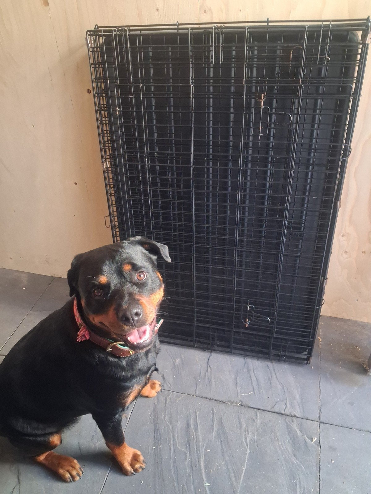 honden bench voor grote hond, Ophalen, Gebruikt