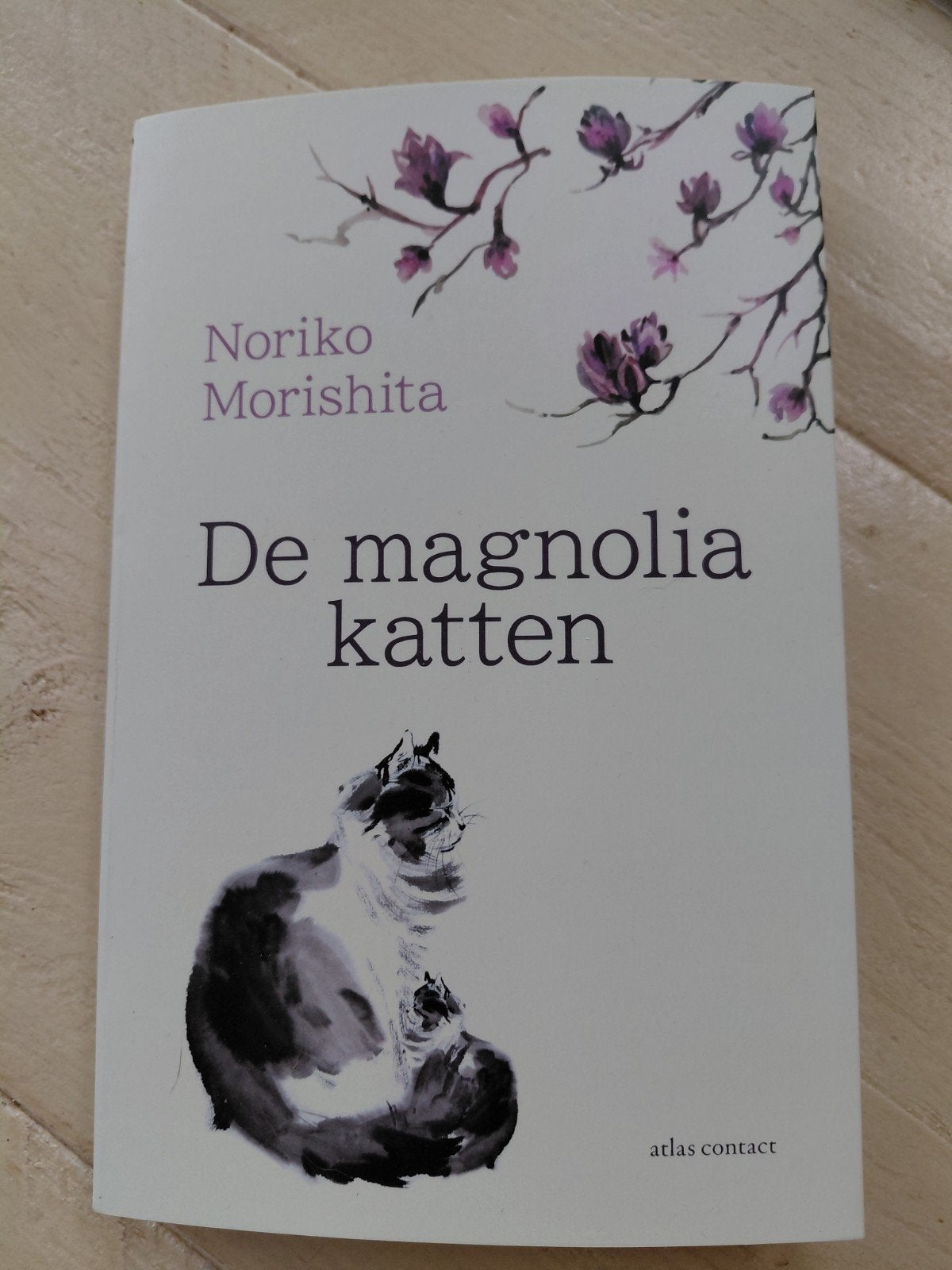 Noriko Morishita - De magnoliakatten, Noriko Morishita, Nieuw, Ophalen of Verzenden, Katten