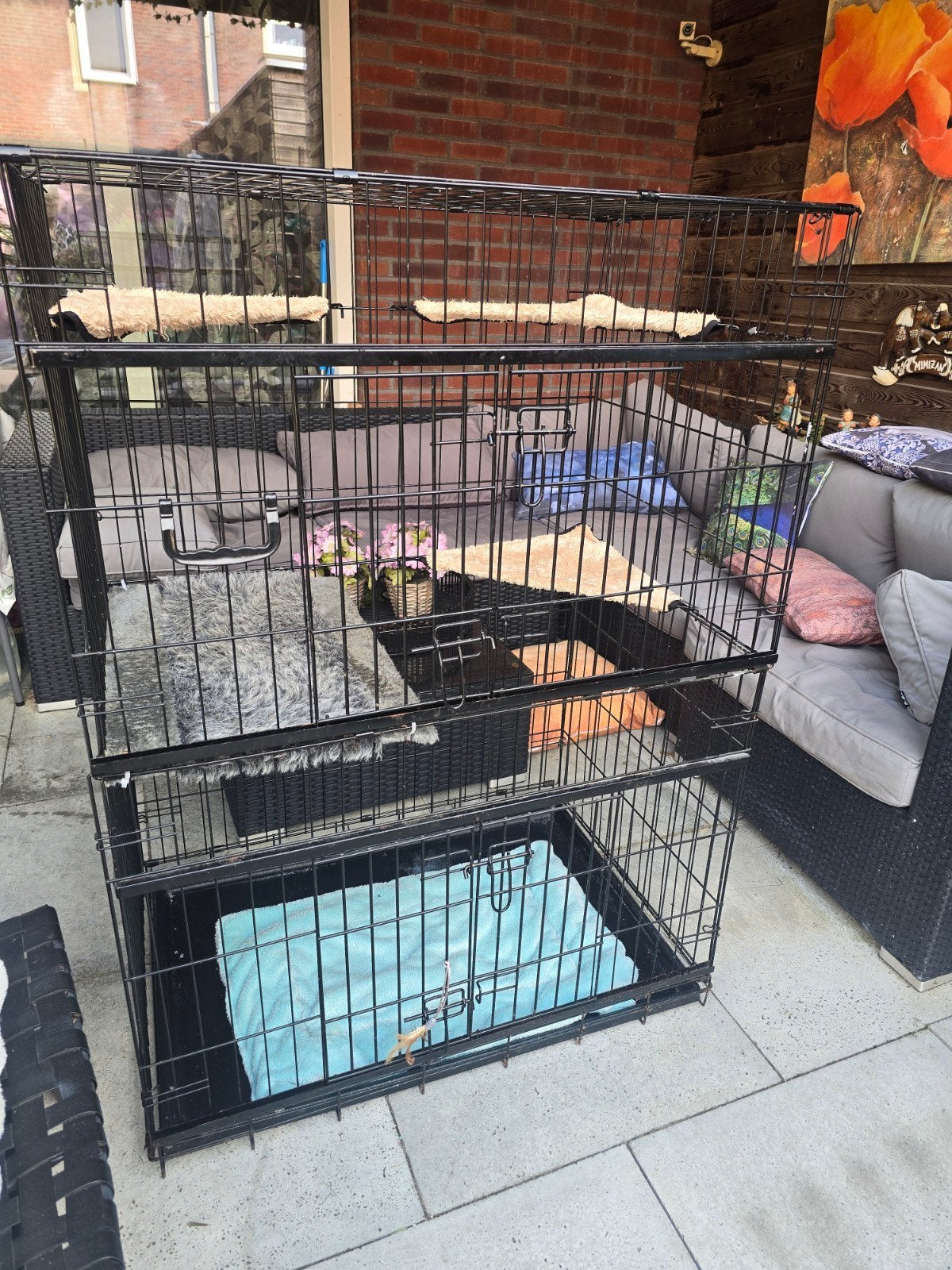 duo Kittenkooi 125 h x 92 l x 65 br  2 deur of fret kooi, Dieren en Toebehoren, Ophalen, Gebruikt