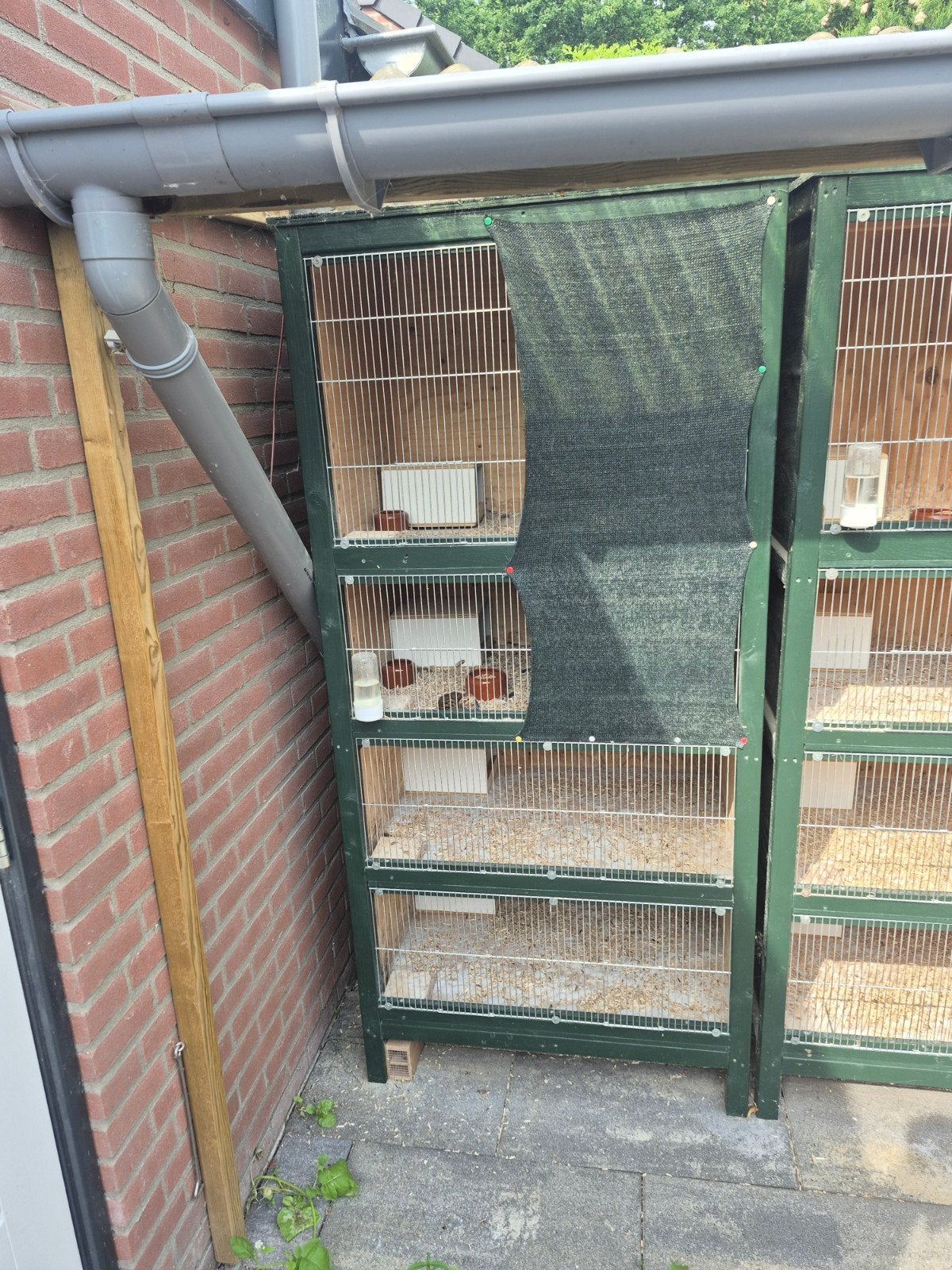 diverse kooien, Ophalen, Zo goed als nieuw, Hout, Vogelkooi