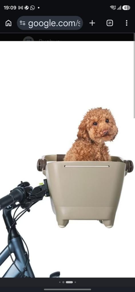 Basil Hondenfietsmand voor kleine honden, Fietsen en Brommers, Fietsaccessoires | Aanhangers en Karren, Ophalen of Verzenden