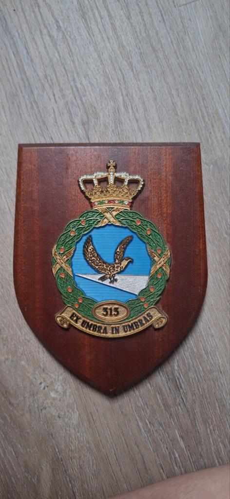 Militair wandbord 513 Luchtmacht - Ex Umbra In Umbras, Ophalen of Verzenden, Luchtmacht, Nederland, Overige typen