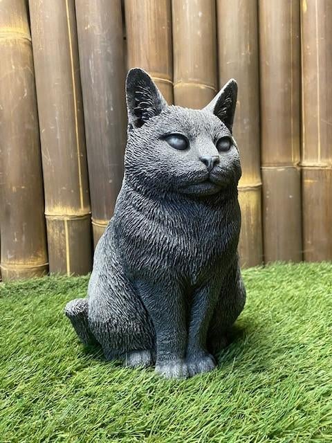 Poes nr.2348