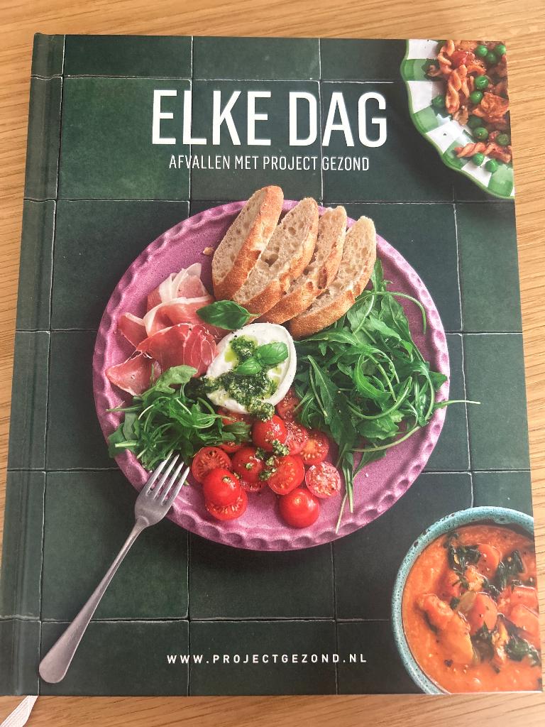 Elk dag afvallen met project gezond, Ophalen of Verzenden, Zo goed als nieuw, Dieet en Voeding