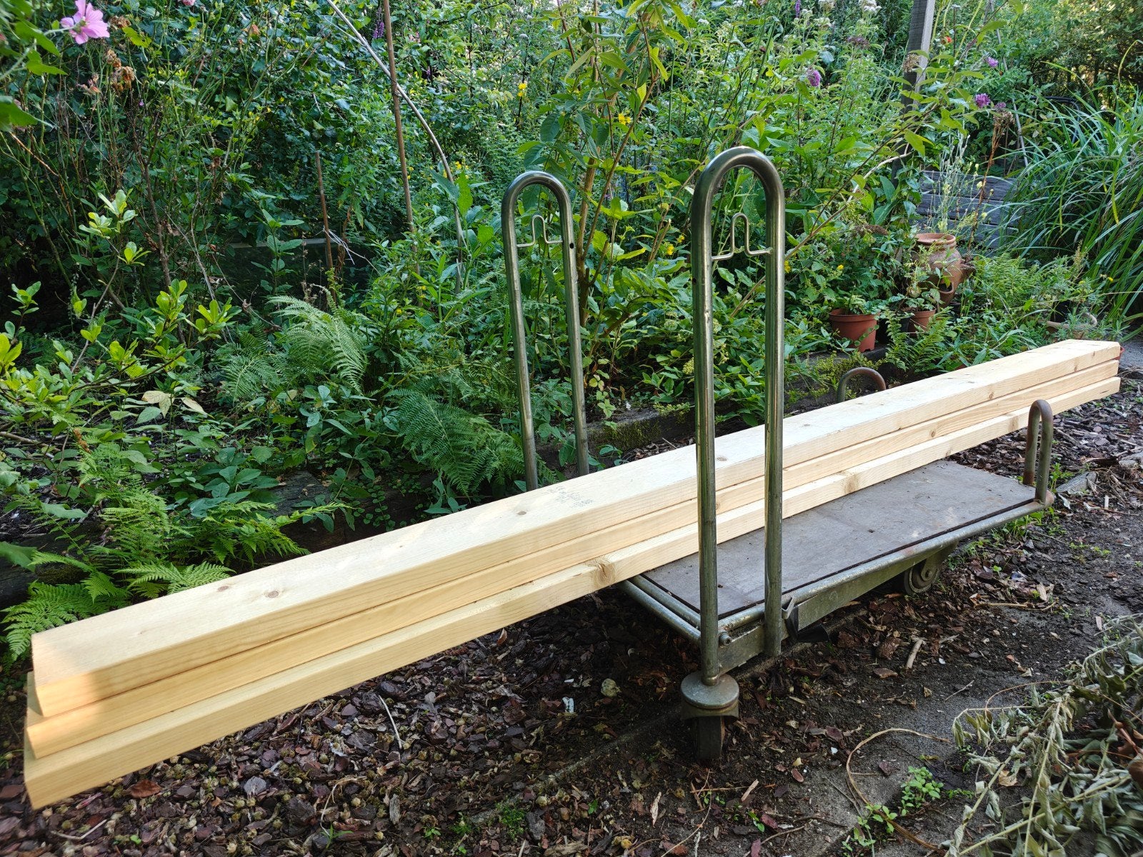 3 balken 2700 x 145 x 44 mm, Ophalen, Nieuw, 250 tot 300 cm, 50 mm of meer