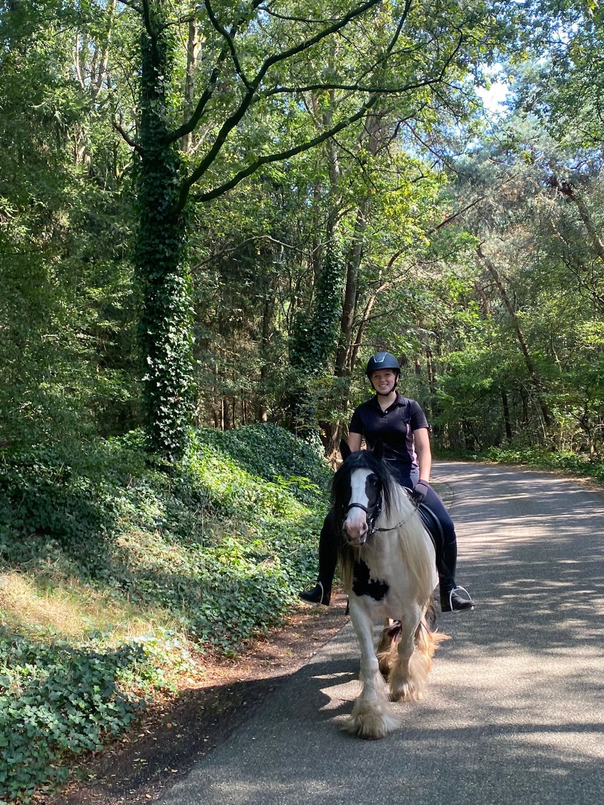 Tinker merrie 7 jaar buitenrijden heel braaf, Merrie, Minder dan 160 cm, Recreatiepaard, 7 tot 10 jaar