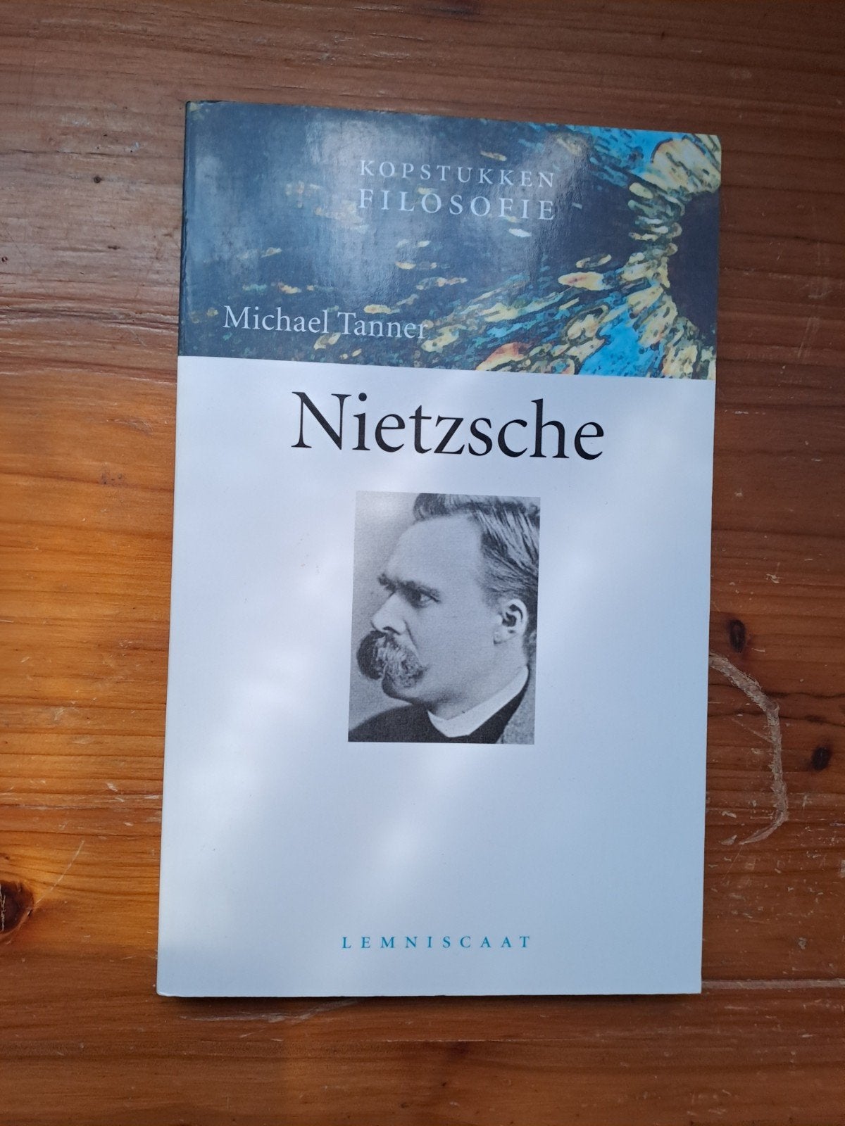 Michael Tanner - Nietzsche, Ophalen of Verzenden, Zo goed als nieuw, Overige onderwerpen, Michael Tanner
