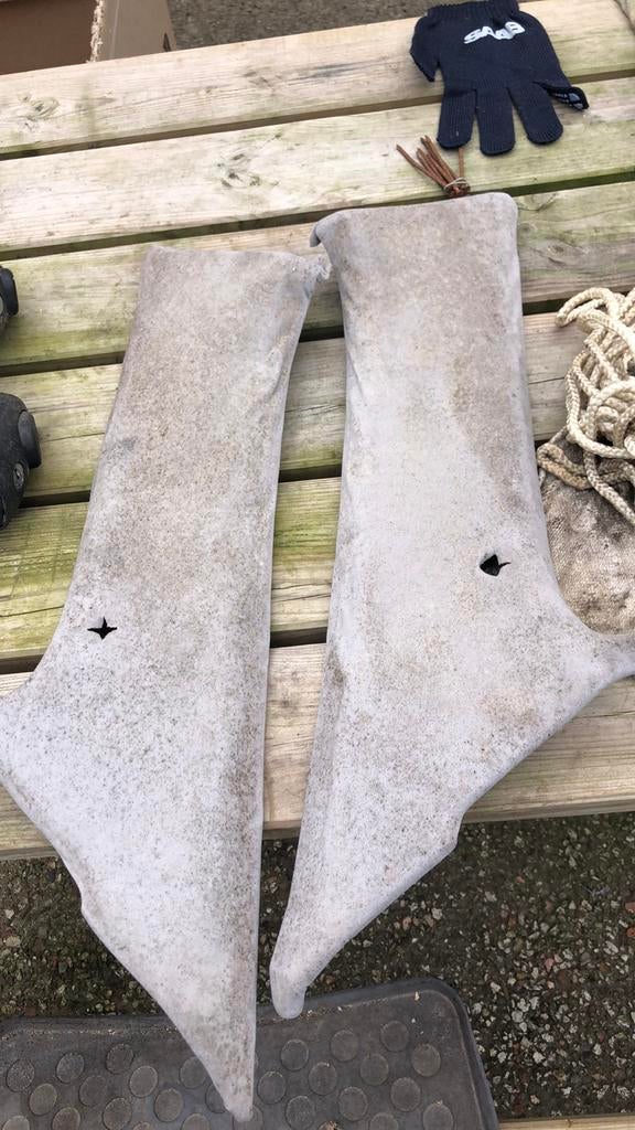 Oortjes voor C-stijl Saab 90, Ophalen of Verzenden, Zo goed als nieuw