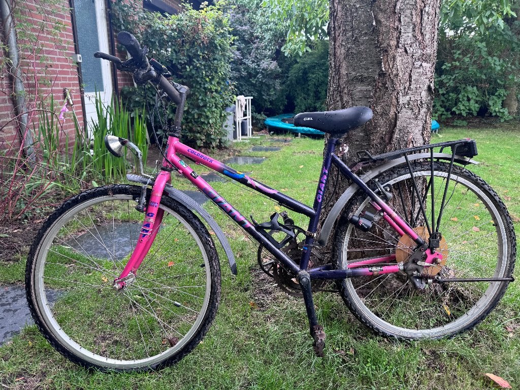 Moutainbike Giant Coldrock jaren 80 of 90, Fietsen en Brommers, Ophalen, Gebruikt, Giant, Dames