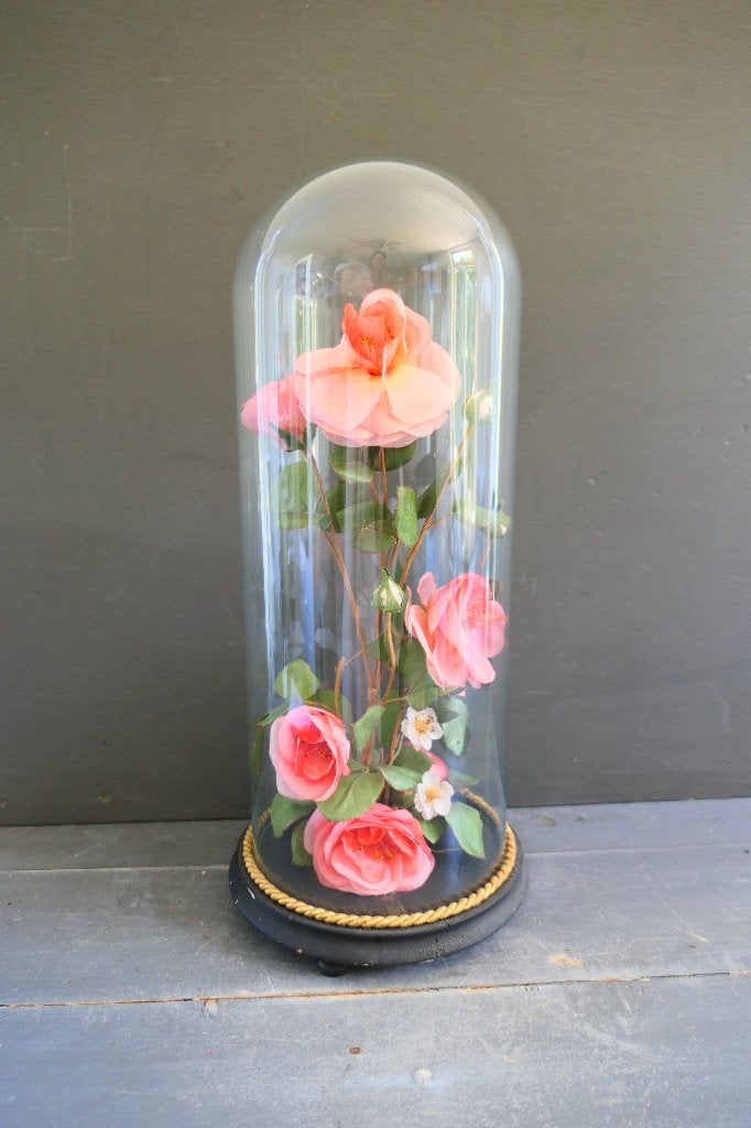 Antieke grote glazen handgeblazen stolp met rozen decoratie, Ophalen