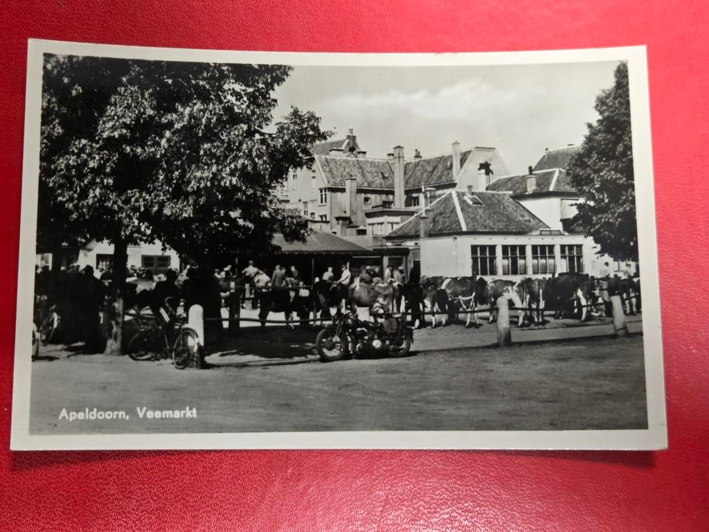 Apeldoorn Veemarkt, Ophalen of Verzenden, Gelderland