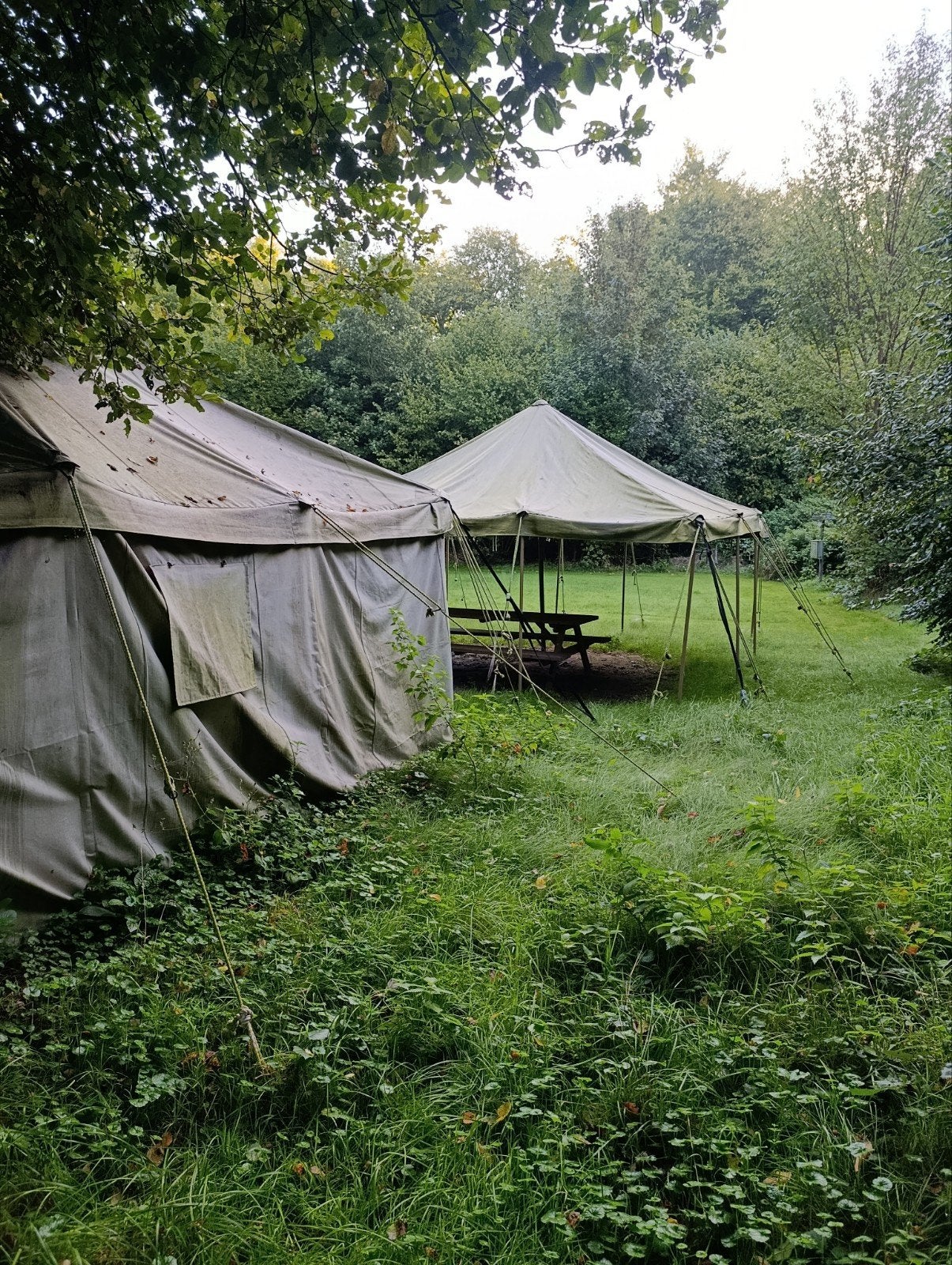 5x5meter  Legertenten 5 stuks, Caravans en Kamperen, Ophalen, Gebruikt, Meer dan 6