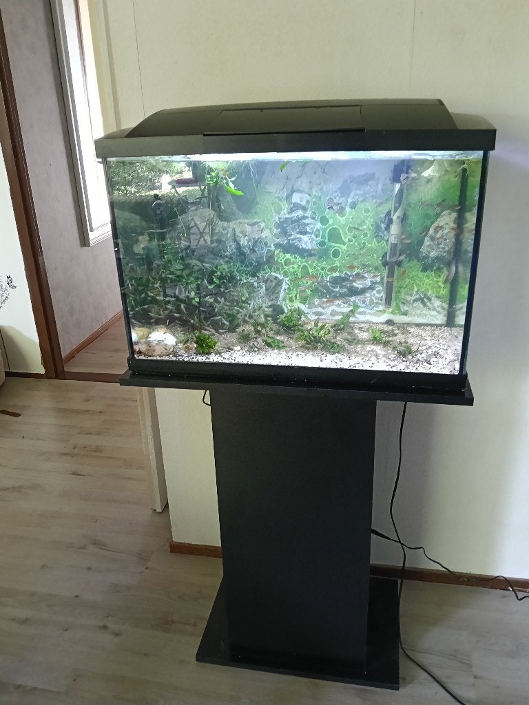 Aquarium met meubel en toebehoren 70L superfish zgan, Ophalen, Pomp, Superfish, Gevuld zoetwateraquarium