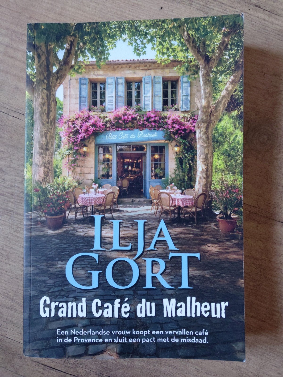 Ilja Gort - Grand Café du Malheur, Ophalen of Verzenden, Zo goed als nieuw, Nederland, Ilja Gort