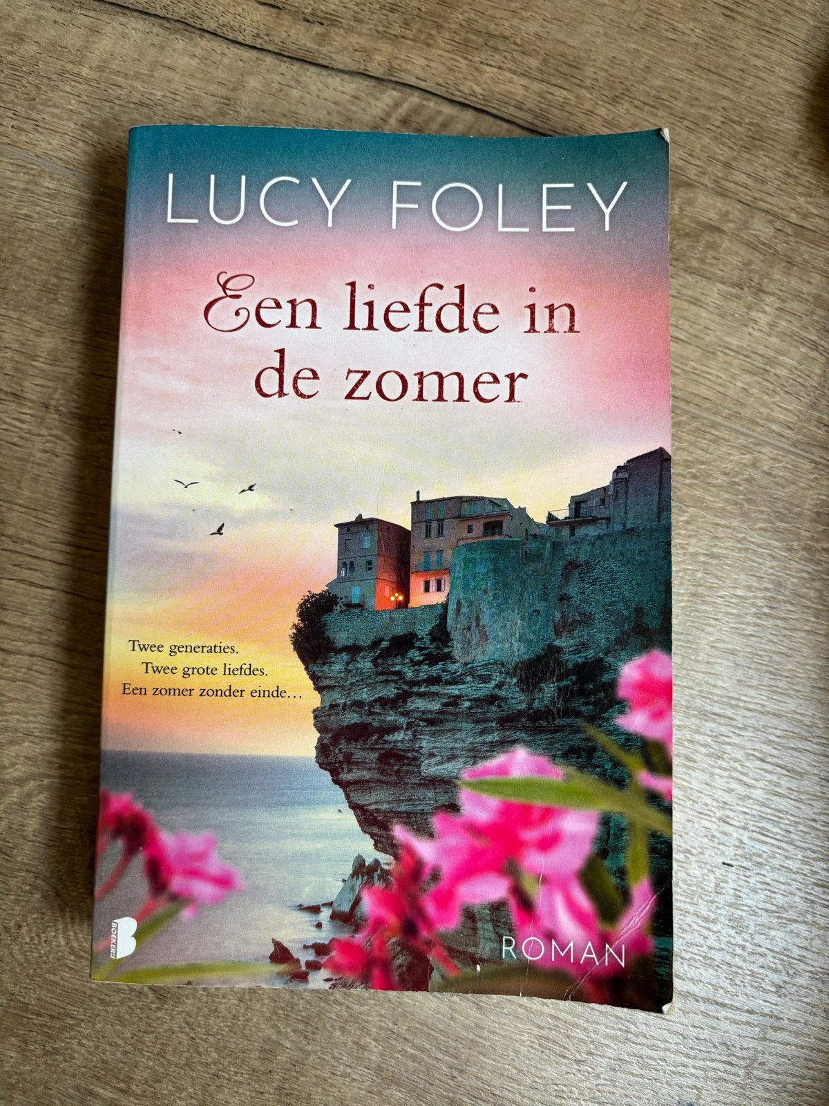 Een liefde in de zomer - Lucy Foley (Roman), Ophalen of Verzenden, Gelezen, Europa overig