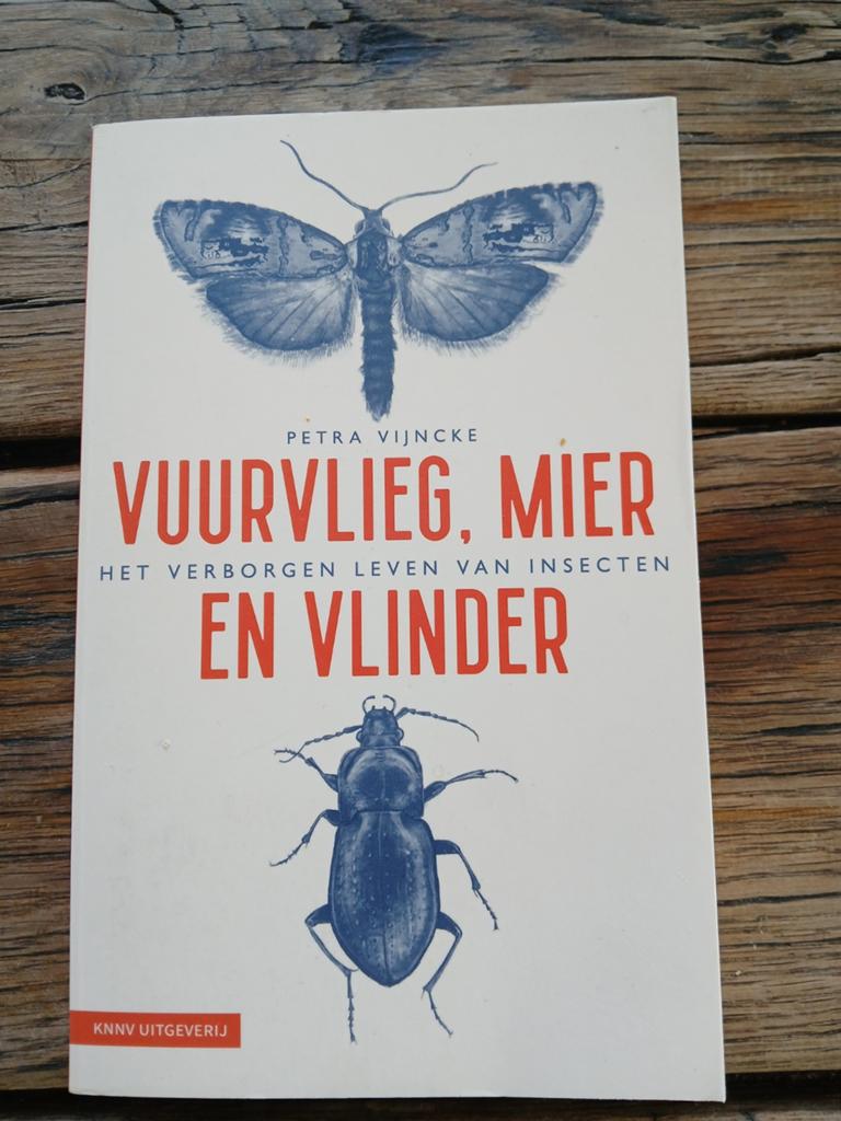 Vuurvlieg, Mier en Vlinder, Boeken, Natuur, Nieuw, Overige onderwerpen, Ophalen of Verzenden