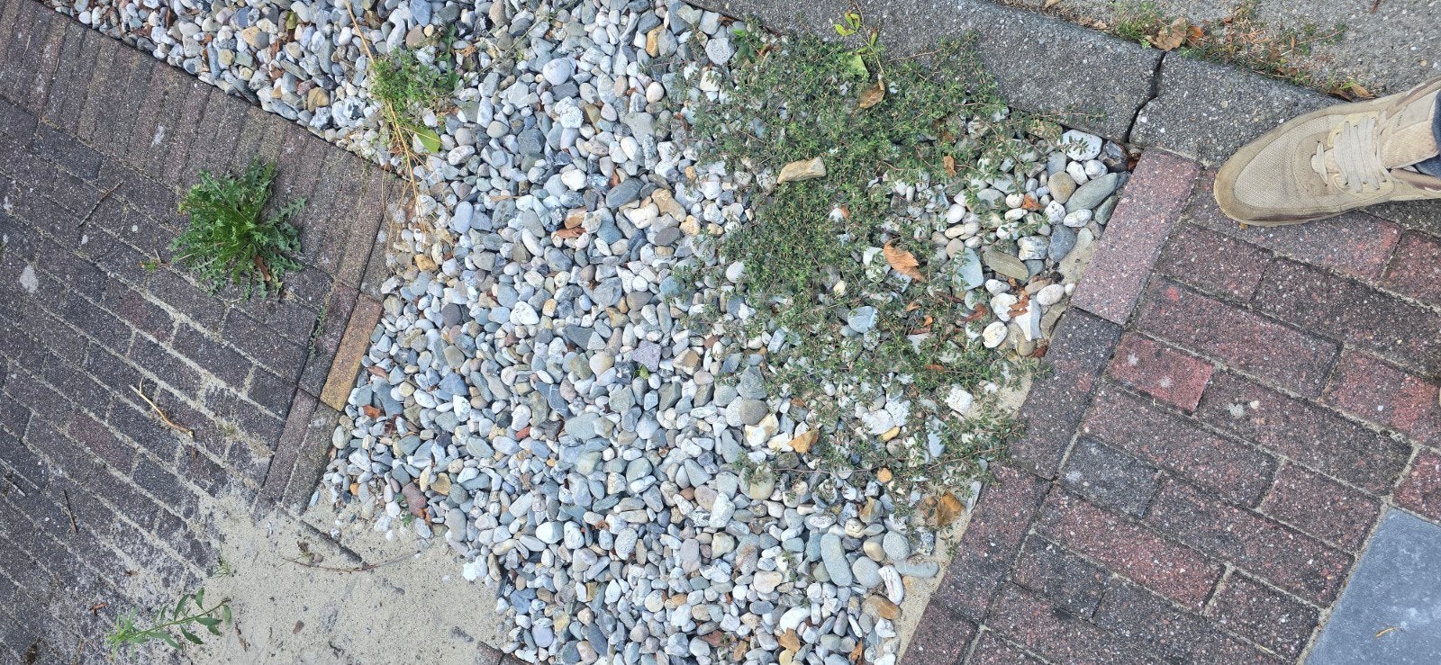 Siergrind voor tuin of oprit - gratis, Tuin en Terras, Ophalen, Overige materialen, Gebruikt, Grind