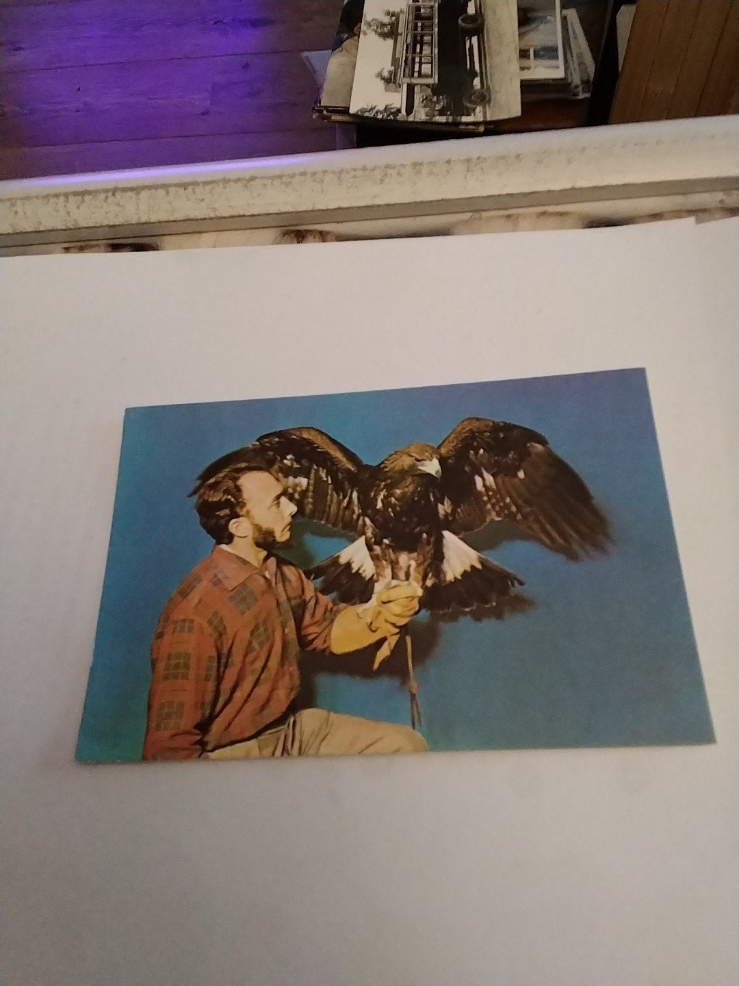Vintage Ansichtkaart: Man met Adelaar - Frankrijk, Ophalen of Verzenden