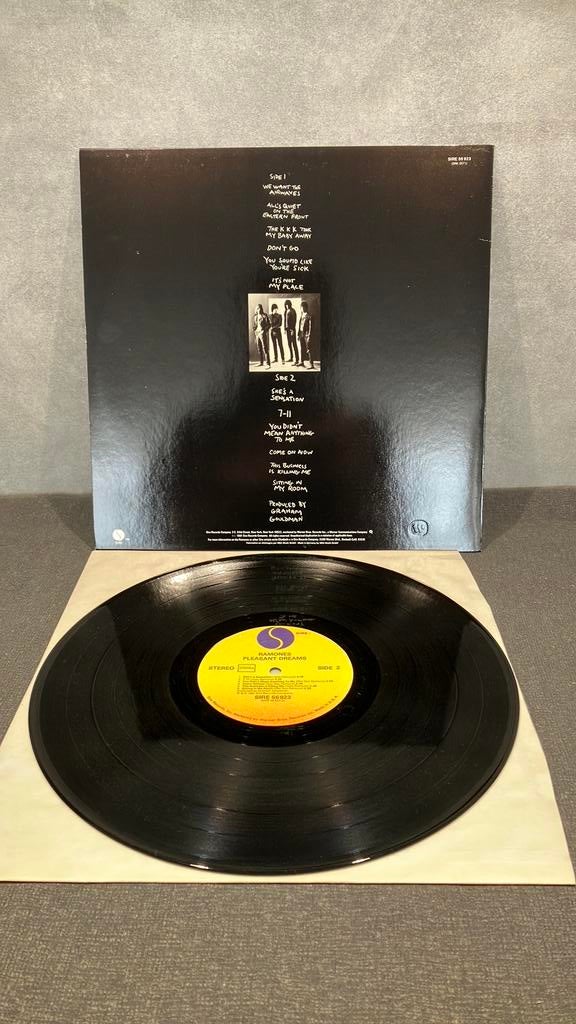 Ramones —. Pleasant Dreams, Ophalen of Verzenden, Zo goed als nieuw, 12 inch, Overige genres