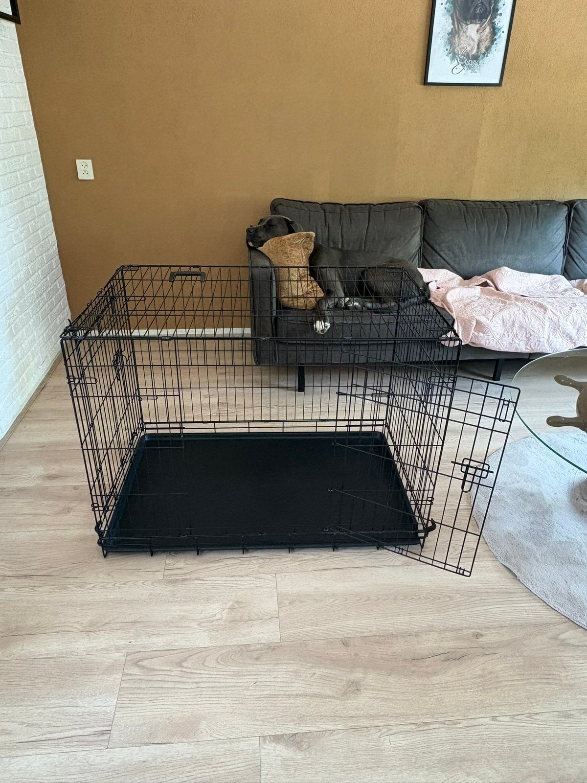 Hondenbench, Ophalen, Zo goed als nieuw, 75 tot 110 cm, 65 tot 100 cm